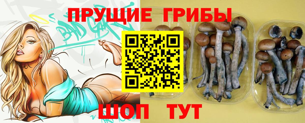 Лсд 25 Алушта